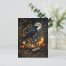 Samhain Raaf Mysterieus Mooi