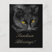 Samhain Zwarte Kat Feestdag Briefkaart (Voorkant)