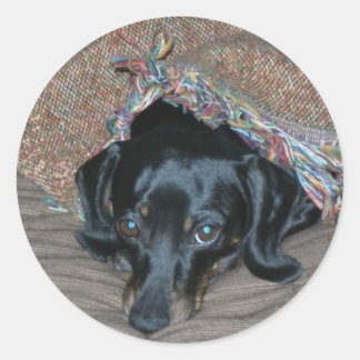 Sami onder weer ronde sticker