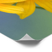 Sammamish Washington Foto van Butterfly 22 Poster (Hoek)