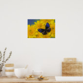 Sammamish Washington Foto van Butterfly 41 Poster (Keuken)