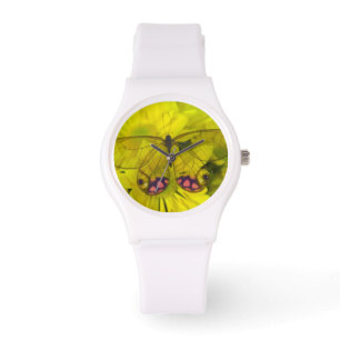Sammamish Washington Foto van vlinder op 8 Horloge