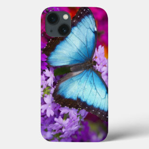 Sammamish Washington Tropical Butterfly 7 iPhone 13 Hoesje