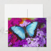 Sammamish Washington Tropical Butterfly Briefkaart