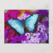 Sammamish Washington Tropical Butterfly Briefkaart (Voorkant)