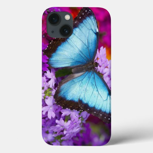 Sammamish Washington Tropische Vlinder Case-Mate iPhone Case (Achterkant)