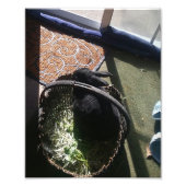 SAMMY I FOTO AFDRUK (Voorkant)