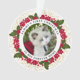 Sammy's eerste kerstkat-fotoornament voor ooit ker ornament