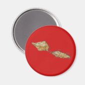 Samoa Kaart Magneet (Voorkant / Achterkant)