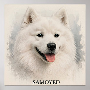 Samojed glimlachend Arctisch Hond Portret Poster