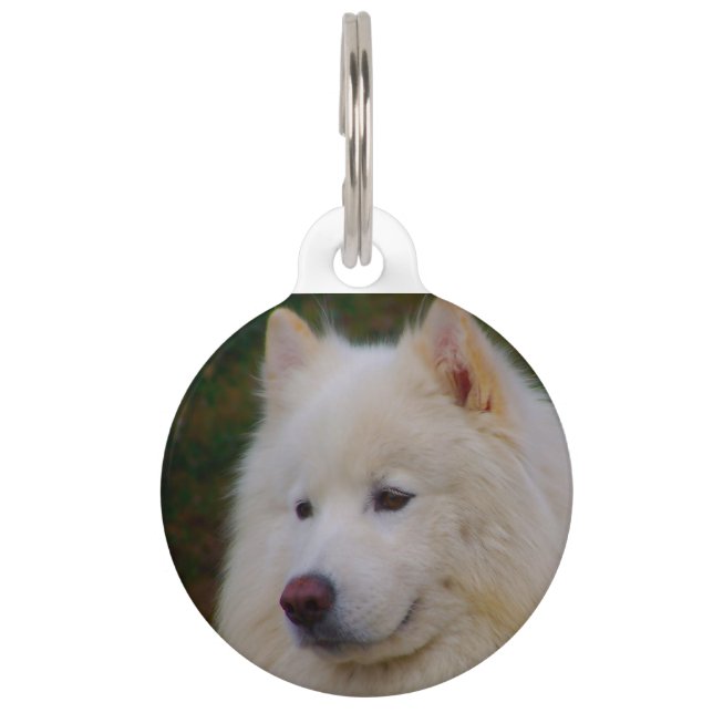 Samojed Husky Hond. Huisdierpenning (Voorkant)