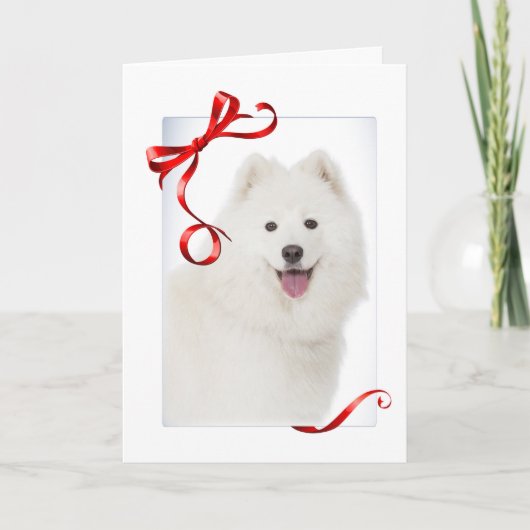 Samojed Kerstkaart Feestdagen Kaart (Voorkant)