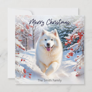 Samojedische hond in sneeuw Kerstmis vakantiekaart Feestdagenkaart
