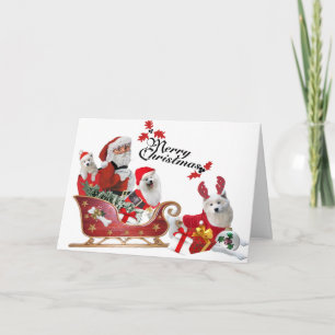 Samojeed en de Kerstman in Sleigh kaarten