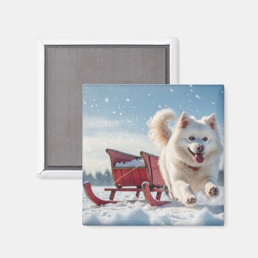 Samojeed feestelijke kerstvakantie magneet (Voorkant / Achterkant)