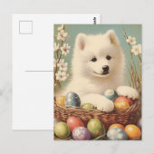 Samojeed  Pasen Briefkaart (Voorkant / Achterkant)