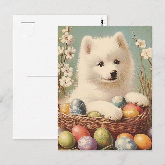 Samojeed  Pasen Briefkaart (Voorkant / Achterkant)