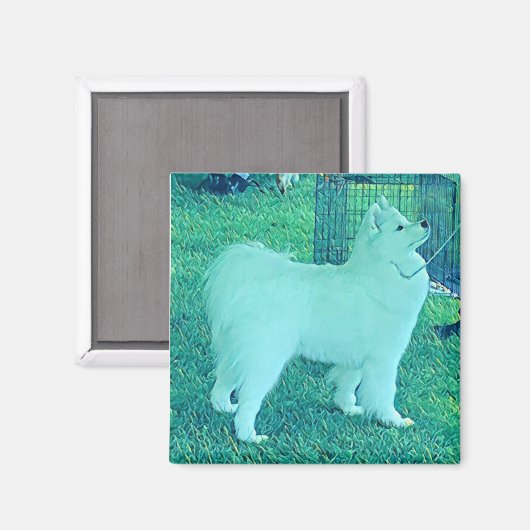 Samojeed-puppymagneet Magneet (Voorkant / Achterkant)