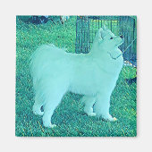 Samojeed-puppymagneet Magneet (Voorkant)