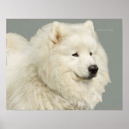 Samoyed 19-inch x 13-inch archiefpapier voor zwaar poster