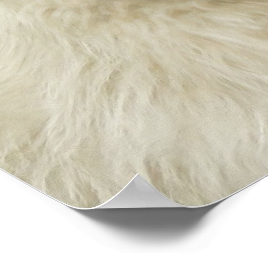 Samoyed 19-inch x 13-inch archiefpapier voor zwaar poster (Hoek)