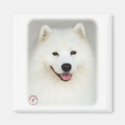 Samoyed 9Y566D-019 Magneet (Voorkant)