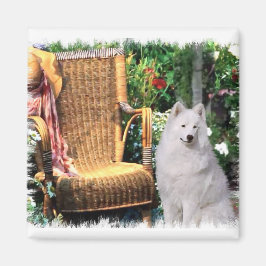 Samoyed Art Gifts Magneet