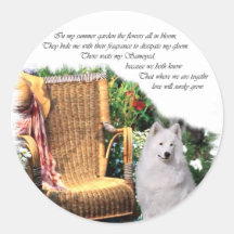 Samoyed Art Gifts