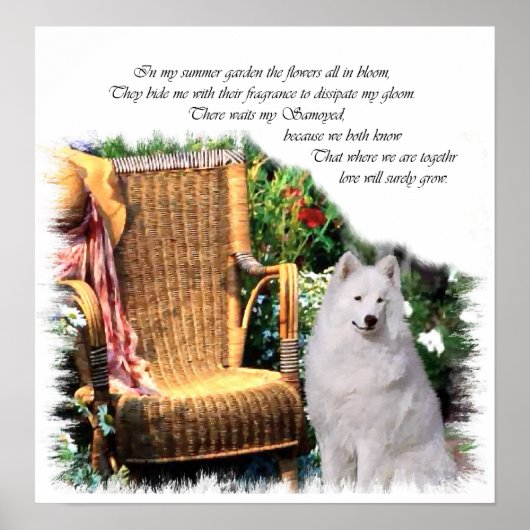 Samoyed Art Print (Voorkant)