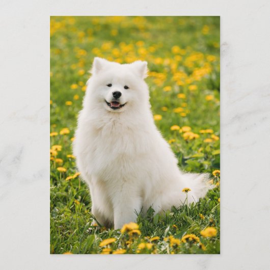 Samoyed Bar Menu (Achterkant)