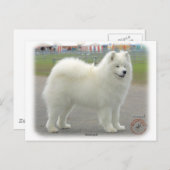Samoyed Briefkaart (Voorkant / Achterkant)