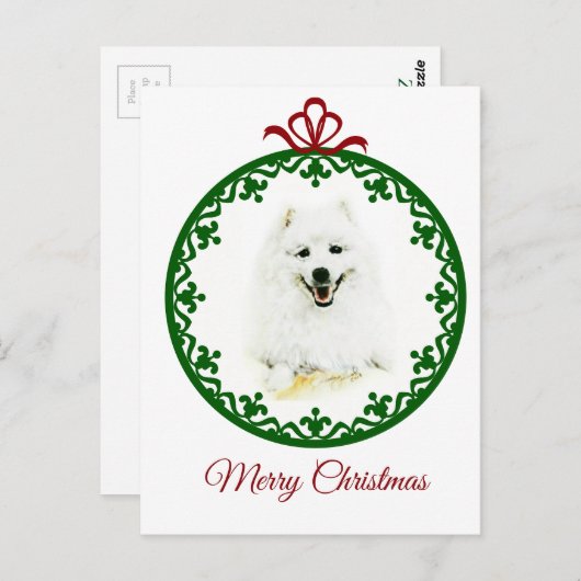 Samoyed Briefkaart (Voorkant / Achterkant)