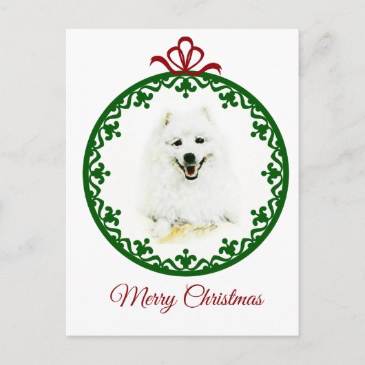 Samoyed Briefkaart (Voorkant)