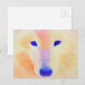 Samoyed briefkaart (Voorkant / Achterkant)