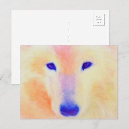 Samoyed briefkaart (Voorkant / Achterkant)