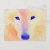 Samoyed briefkaart (Voorkant)