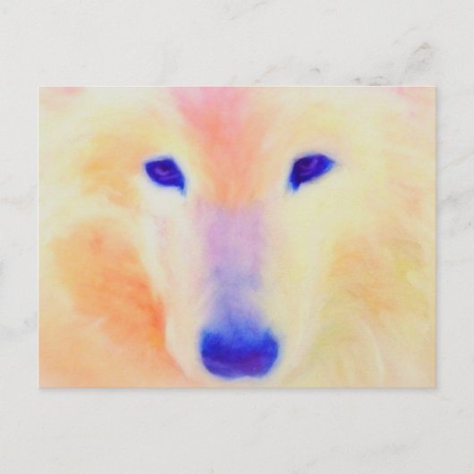 Samoyed briefkaart (Voorkant)