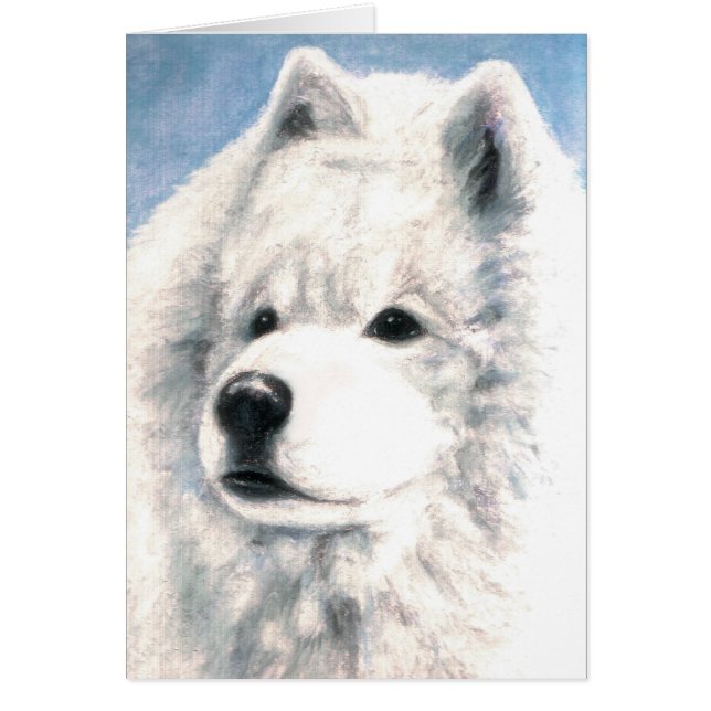 Samoyed Dog Blank Card (Voorkant)