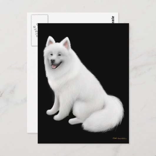 Samoyed Dog Briefkaart (Voorkant / Achterkant)