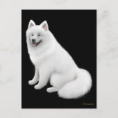 Samoyed Dog Briefkaart (Voorkant)