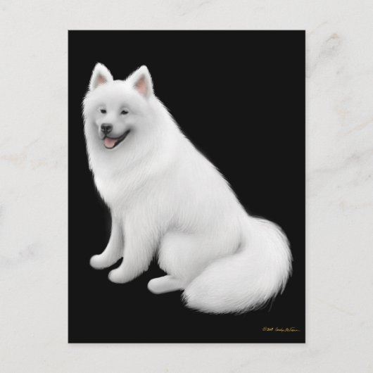 Samoyed Dog Briefkaart (Voorkant)