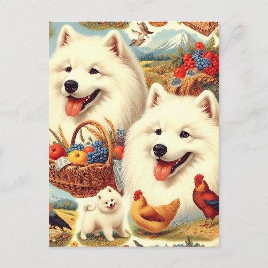 Samoyed Dog Illustratie Briefkaart (Voorkant)