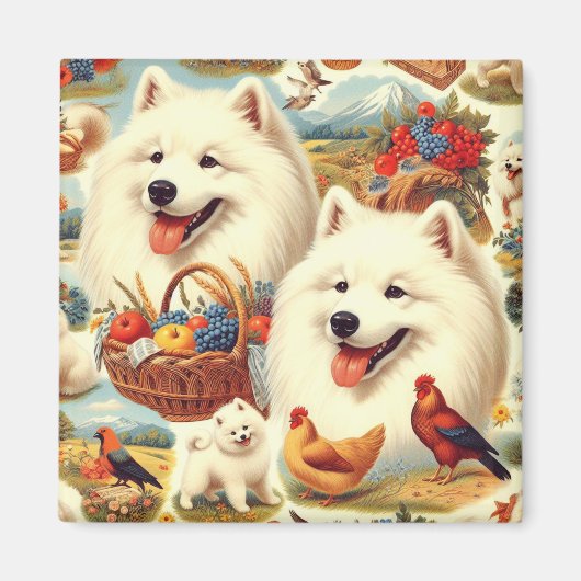 Samoyed Dog Illustratie Magneet (Voorkant)
