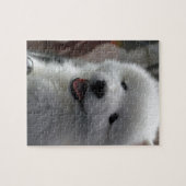 Samoyed Dog Legpuzzel (Horizontaal)