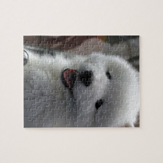 Samoyed Dog Legpuzzel (Horizontaal)