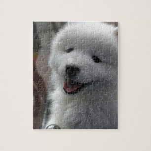 Samoyed Dog Legpuzzel