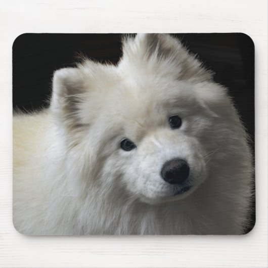 Samoyed Dog Mousepad Muismat (Voorkant)