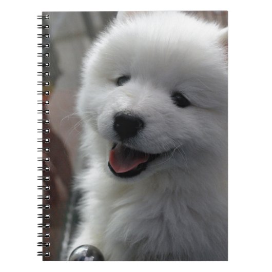 Samoyed Dog Notitieboek (Voorkant)