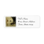 Samoyed Dog Return Address Label (Voorkant)