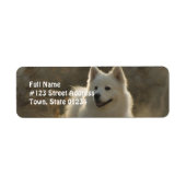 Samoyed Dog Return Address Label (Voorkant)